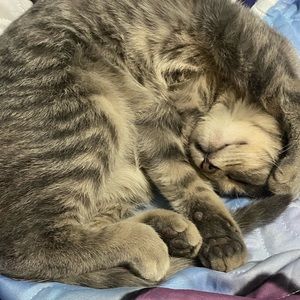 Meet your Posher, Heavenly